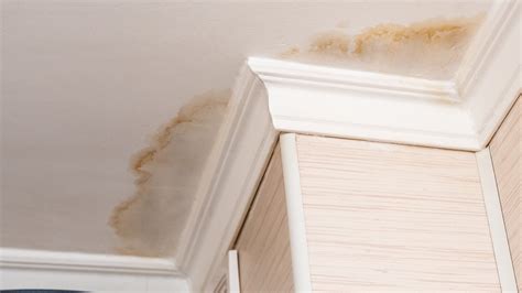 water damage basement ceiling|What to Do When Your Ceiling Has Water Damage